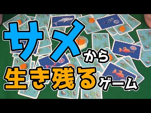 【ボードゲーム】ハイフィッシュ!神経衰弱みたいだけど違う大どんでん返しありのカードゲーム!!136