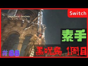 【ドラゴンズドグマ：ダークアリズン】素手で黒呪島は気が狂ってる #88