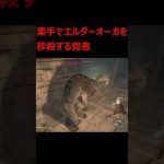 【ドラゴンズドグマ：ダークアリズン】素手でエルダーオーガを瞬殺する覚者 #Shorts