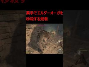 【ドラゴンズドグマ：ダークアリズン】素手でエルダーオーガを瞬殺する覚者 #Shorts