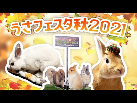 #165 うさフェスタ2021秋/うさぎ好きが集まるコアなイベントに行ってきました