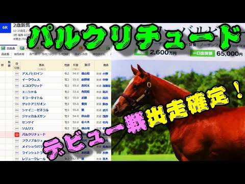 【一口馬主】底辺一口邁進中第百十四話～パルクリチュード、11月20日㊐福島第6R2歳新馬ダート1700m戦にてデビュー確定！-端麗な走りを-～【キャロットクラブ】