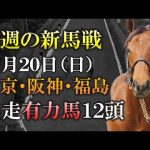 【新馬戦】激震のラスト1F10.7！ムーアと豪脚期待のドゥラ産駒・タッチウッド登場！11月20日(日)の新馬戦に出走予定の有力2歳馬12頭を紹介します！【最終追切】【pog22-23】