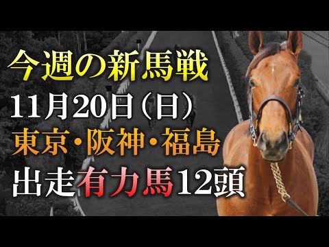 【新馬戦】激震のラスト1F10.7！ムーアと豪脚期待のドゥラ産駒・タッチウッド登場！11月20日(日)の新馬戦に出走予定の有力2歳馬12頭を紹介します！【最終追切】【pog22-23】