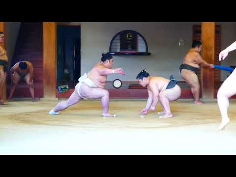 千代栄関 【2022年大相撲名古屋場所 千秋楽 九重部屋の朝稽古に行ってみた!】 徳源寺（愛知県名古屋市東区）2022.7.24