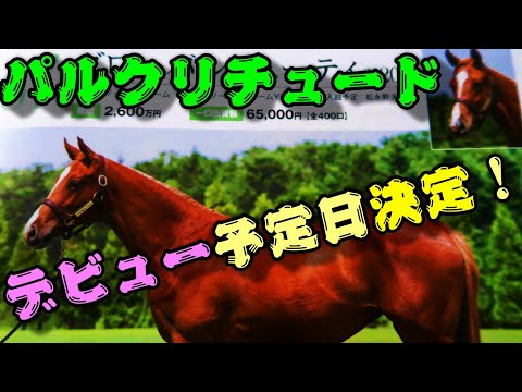 【一口馬主】底辺一口邁進中第百七話～パルクリチュード、デビュー予定日決定！-若手のホープといきなりの遠征-～【キャロットクラブ】