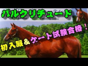 【一口馬主】底辺一口邁進中第百四話～パルクリチュード、祝初入厩＆ゲート試験合格！-デビューが近付いた繊細なガール-～【キャロットクラブ】
