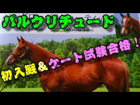 【一口馬主】底辺一口邁進中第百四話～パルクリチュード、祝初入厩＆ゲート試験合格！-デビューが近付いた繊細なガール-～【キャロットクラブ】