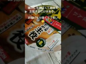 日清の最強どん兵衛きつねうどん