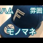 【日ハム】雰囲気モノマネ【北海道日本ハムファイターズ】