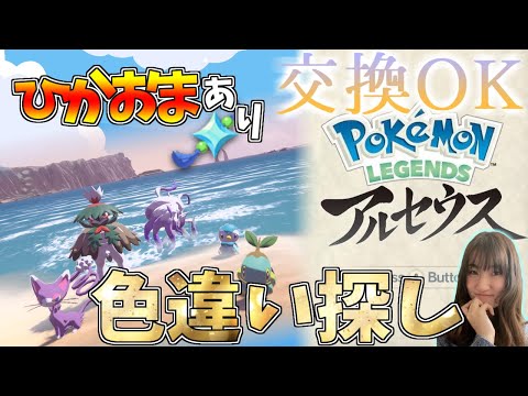 【ひかるおまもりアリ!】ひかおまを手にし、色違い探すどー!!交換会もやるよ!!【Pokémon LEGENDS アルセウス】