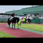 2022.9.20 浦和🐎2R クラムチャウダー　周回