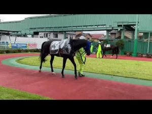 2022.9.20 浦和🐎2R クラムチャウダー