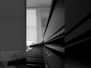 STAY Woke How Long Will You Sleep 2022?