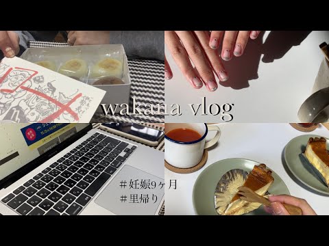 【妊婦Vlog.妊娠9ヶ月】とうとう里帰り🏠/朔日餅,ジェラピケ福袋予約争奪戦,セルフネイル,ウォーキング,お家カフェetc...