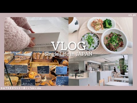 プチ贅沢な日常VLOG｜リフォーム｜ジェラピケ福袋｜アサコイヤワナギ