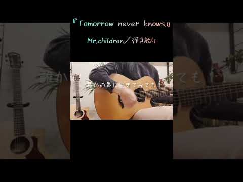 『Tomorrow never knows』Mr.Children／弾き語り #tomorrowneverknows #ミスチル #mrchildren #弾き語り #歌ってみた #ギター弾き語り