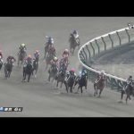 2022 11 26 東京6R 2歳新馬 グランヒマラヤ(石川裕紀人)