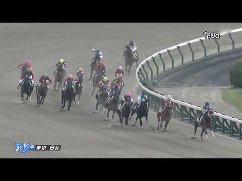 2022 11 26 東京6R 2歳新馬 グランヒマラヤ(石川裕紀人)