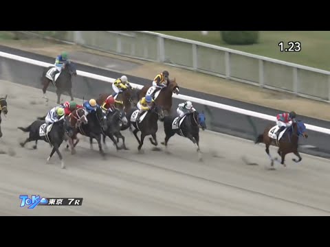 2022/11/20　東京競馬場　7R　レヴール　ドイル騎手　来日初勝利