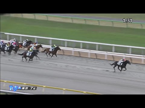 2022/11/13　東京競馬場　7R　ヴァーンフリート　マーカンド騎手