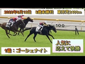 【人気に応えて快勝】ゴーシェナイト 2022年6月12日　3歳未勝利　東京芝2400m