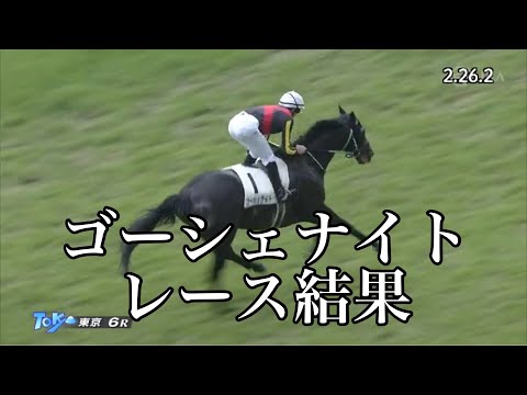 6/12 東京6R 3歳未勝利 レース結果【ゴーシェナイト】