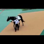 2022/05/08 東京第3R ゴーシェナイト