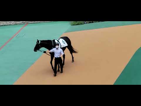 2022/05/08 東京第3R ゴーシェナイト