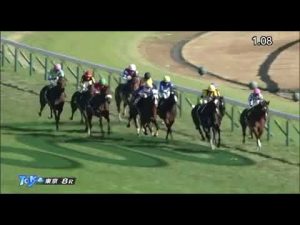強い！東京８R  ベゴニア賞　#シャンパンカラー#エバーハピネス＃競馬