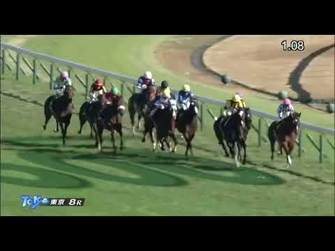 強い！東京８R  ベゴニア賞　#シャンパンカラー#エバーハピネス＃競馬