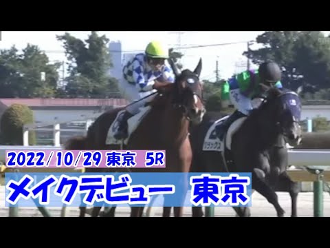 2022/10/29【パドック返し馬つき】東京５R　メイクデビュー東京　　☆シャンパンカラー　ドゥラメンテ　　＃レースは１０分ころから
