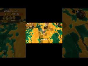 【バグ】空中をスライド移動する金イクラ