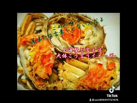 上海蟹　予約受付中