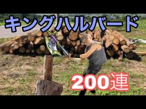 【ドラクエタクト】キングハルバード○○目指して200連！！