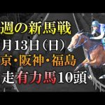 【新馬戦】手塚厩舎の瞬発力自慢・ソールオリエンス登場！11月13日(日)の新馬戦に出走予定の有力2歳馬10頭を紹介します！【最終追切】【pog22-23】