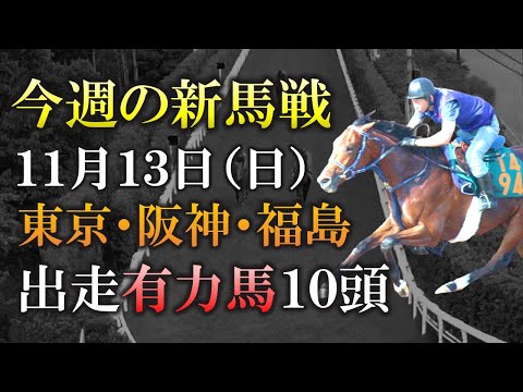 【新馬戦】手塚厩舎の瞬発力自慢・ソールオリエンス登場！11月13日(日)の新馬戦に出走予定の有力2歳馬10頭を紹介します！【最終追切】【pog22-23】