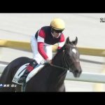 2022 11 05 東京6R 2歳新馬 ジェイパームス(C.ルメール)