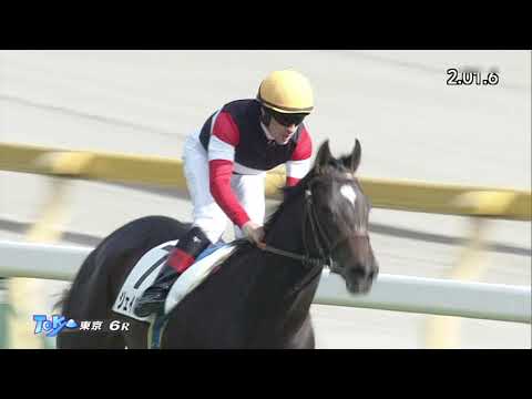 2022 11 05 東京6R 2歳新馬 ジェイパームス(C.ルメール)