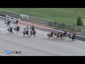 2022/11/05　東京競馬場　7R　ミファヴォリート　ルメール騎手　イモータルフェイム　驚異の差し脚