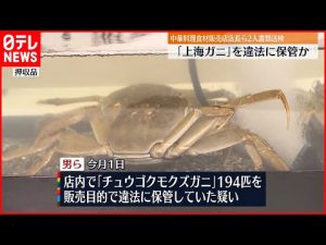 【2人を書類送検】｢上海ガニ｣194匹…販売目的で違法に保管か