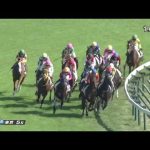 2022 10 29 1東京5R 2歳新馬シャンパンカラー(戸崎圭太)