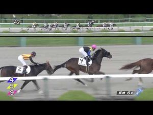 2022 11 05 阪神6R 2歳新馬 キレナイカ(吉田隼人)