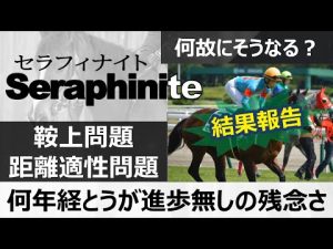 【一口馬主】想像以上の好レースとなったセラフィナイト出走結果。やはり前走の経験が良い方向へ繋がっていると感じます。