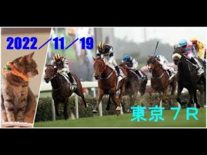 2022/11/19　東京７レース　枠順確定