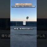 島暮らしチョイ見せ019海と月へ向かふ道 #shorts #愛媛 #瀬戸内 #離島 #忽那諸島 #松山 #中島 #田舎暮らし #空き家 #移住 #海 #月 #iloveyou