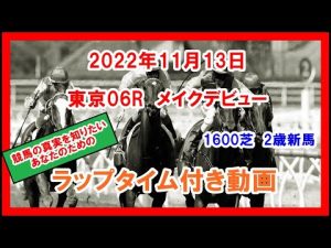 メイクデビュー トラマンダーレ 2022年11月13日 東京 06R 1600芝 2歳新馬  ラップタイム付き動画