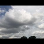 小栗さんエンブラ450