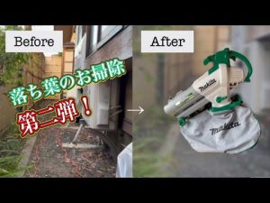 第二弾！【マキタ】電気ブロワ/集じん機〜落ち葉のお掃除〜