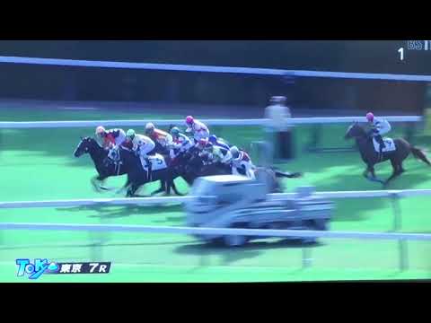 10月30日東京7R 3歳1勝クラス